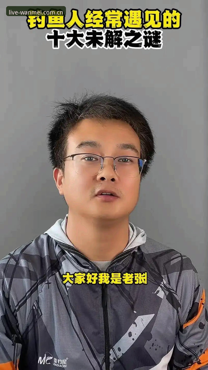 完美体育平台安卓版网页版常见问题详解：从老张的“折腾”说起