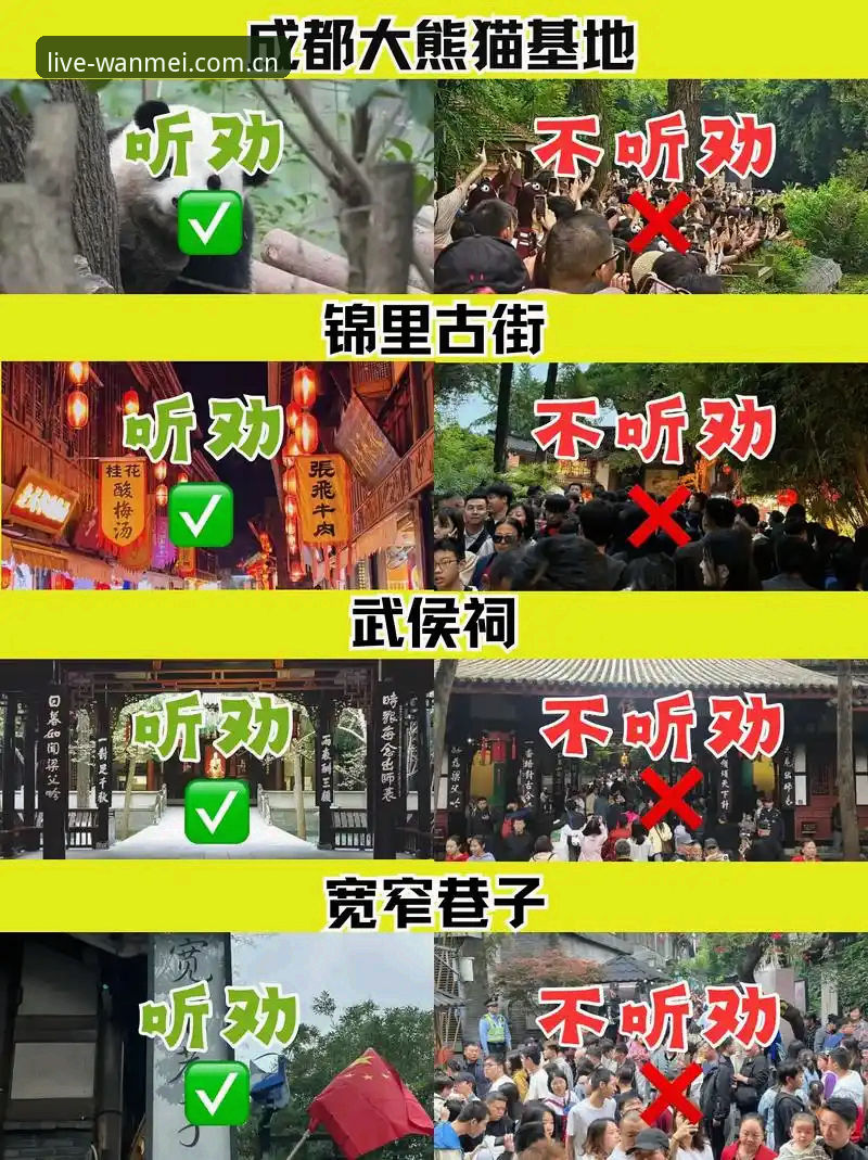 苹果手机完美体育网页版下载避坑指南：一个老用户的实测与反思